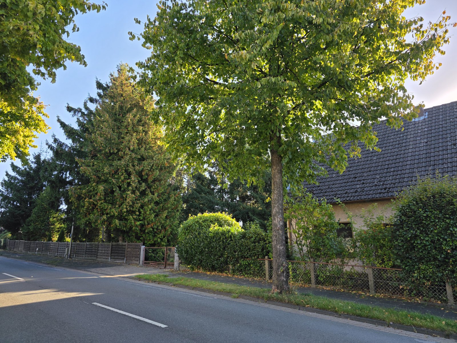 Großzügiges Baugrundstück mit Altbestand in Löhne - Mennighüffen