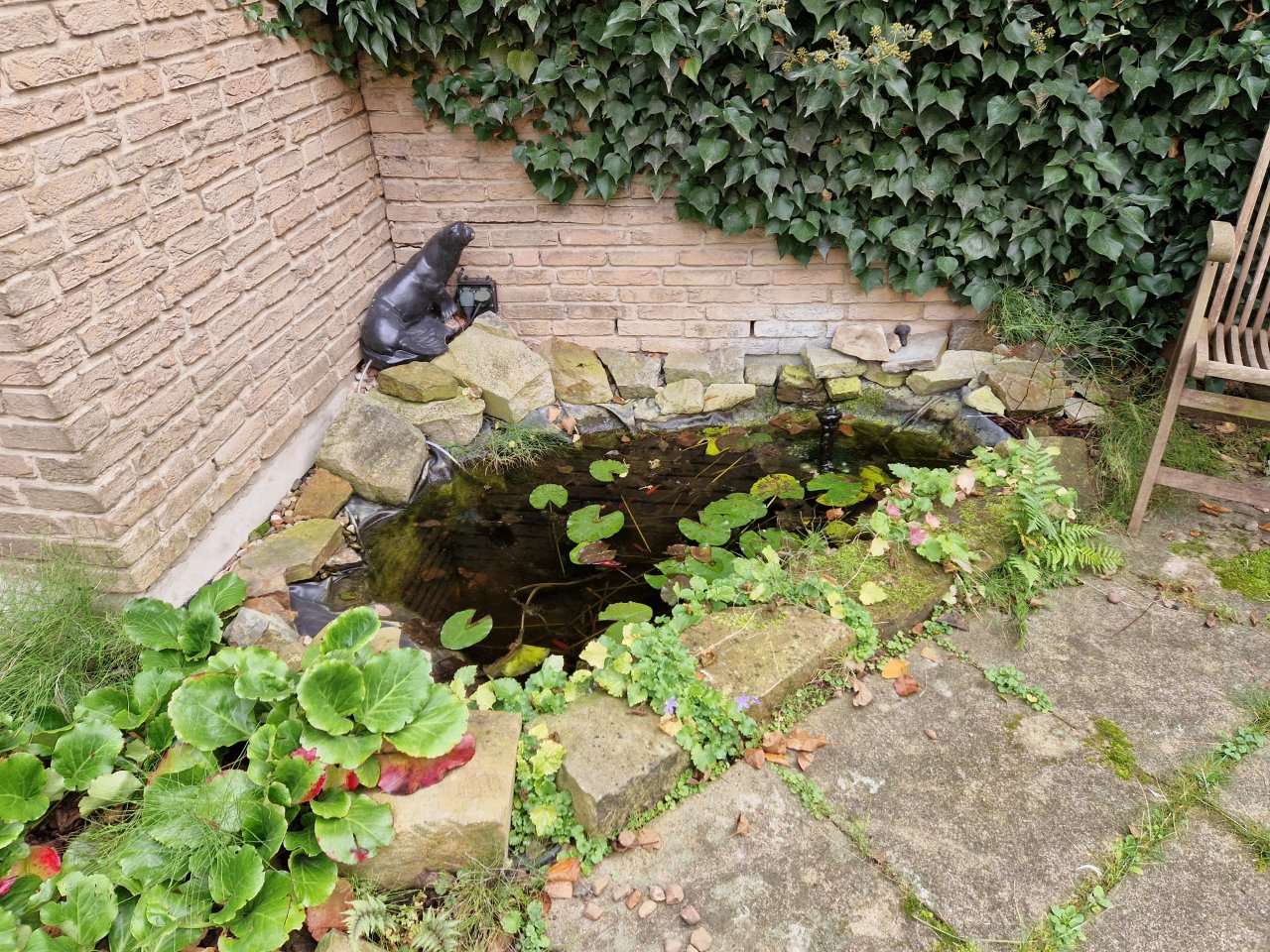 kleiner Fischteich kleiner Fischteich