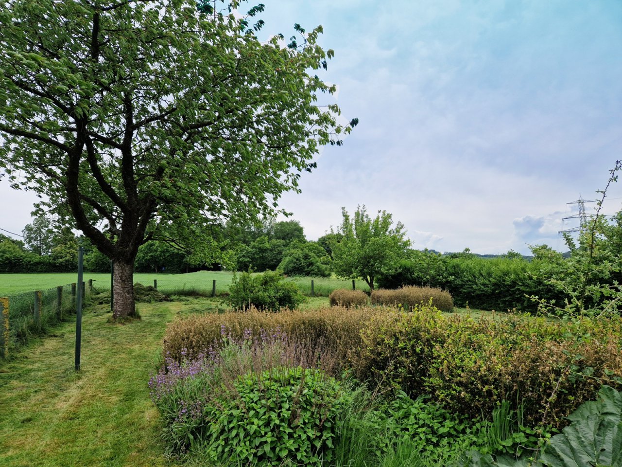 Blick in den Garten Blick in den Garten