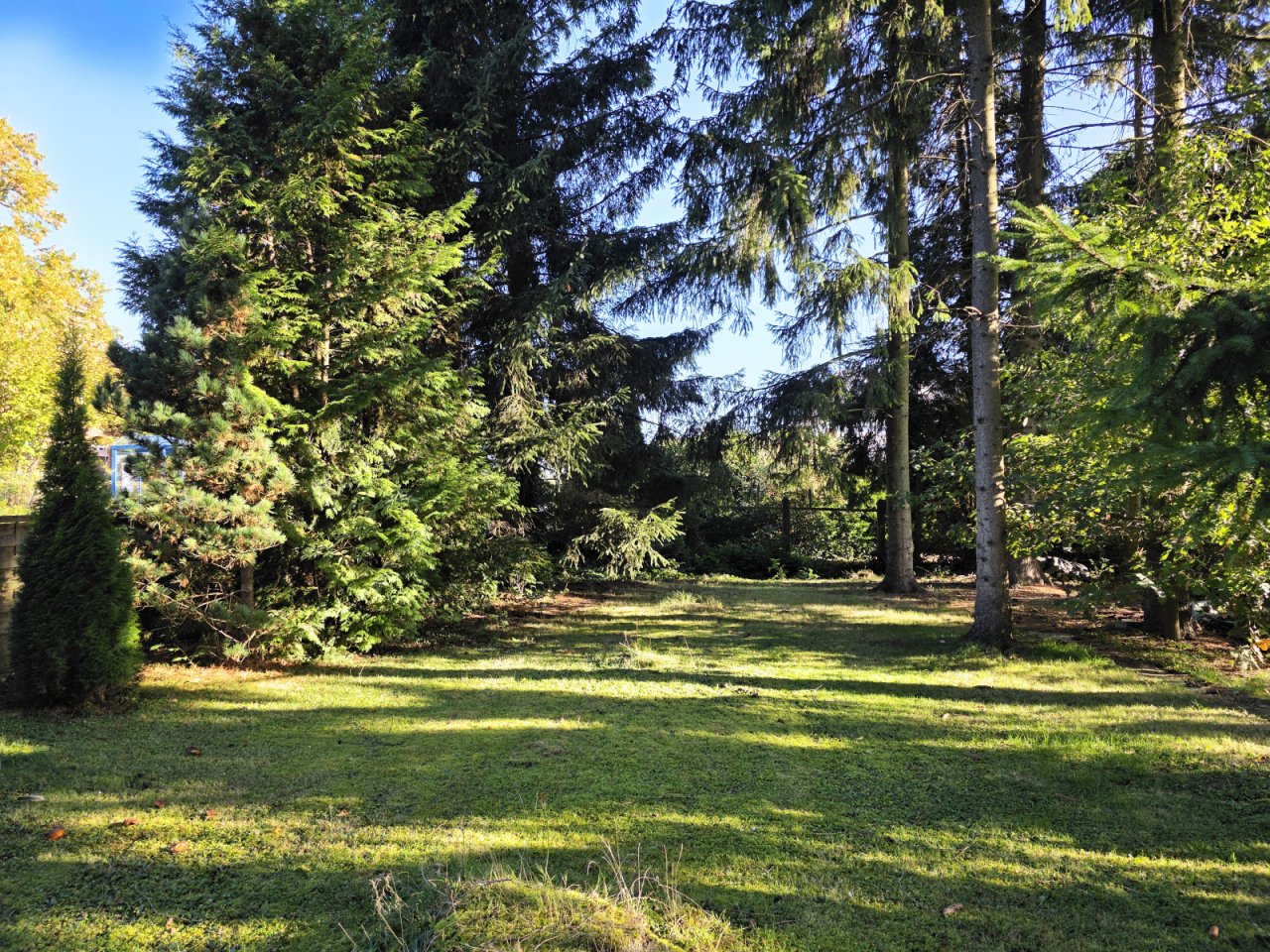 Gartenfläche