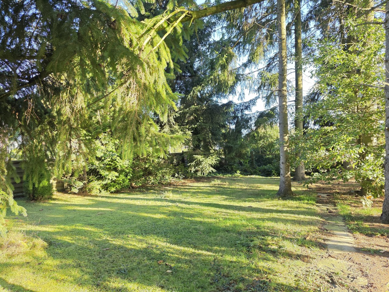 Garten mit altem Baumbestand