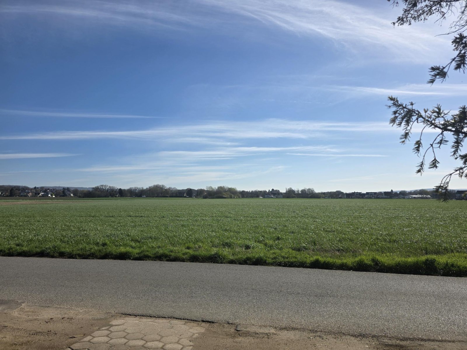 Mit Weitblick vor dem Haus