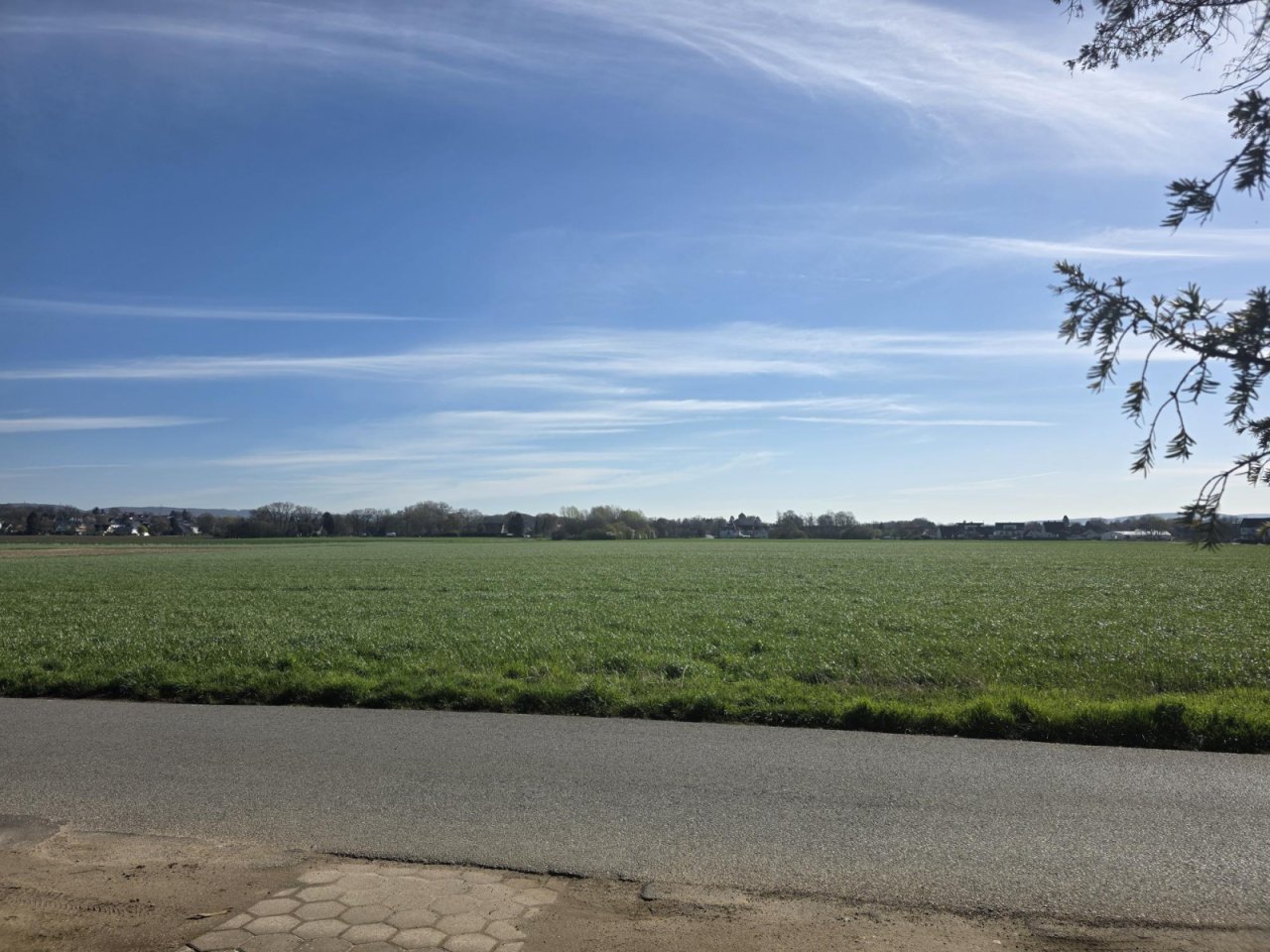 Mit Weitblick vor dem Haus