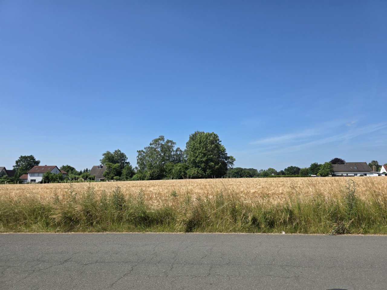 Ausblick vor dem Haus Ausblick vor dem Haus
