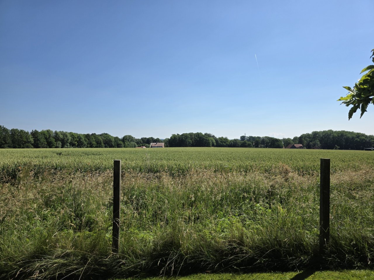 Ausblick hinter dem Haus Ausblick hinter dem Haus